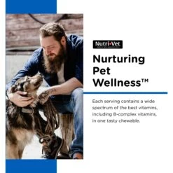 Nutri-Vet Multi-Vite Chewable Tablets Multivitamin For Dogs 12 Nutri-Vet Multi-Vite Chewable Tablets Multivitamin For Dogs -Pet Wellness 126861 PT3. AC SS1800 V1657655409