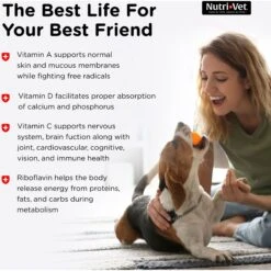 Nutri-Vet Multi-Vite Chewable Tablets Multivitamin For Dogs 13 Nutri-Vet Multi-Vite Chewable Tablets Multivitamin For Dogs -Pet Wellness 126861 PT4. AC SS1800 V1657655409