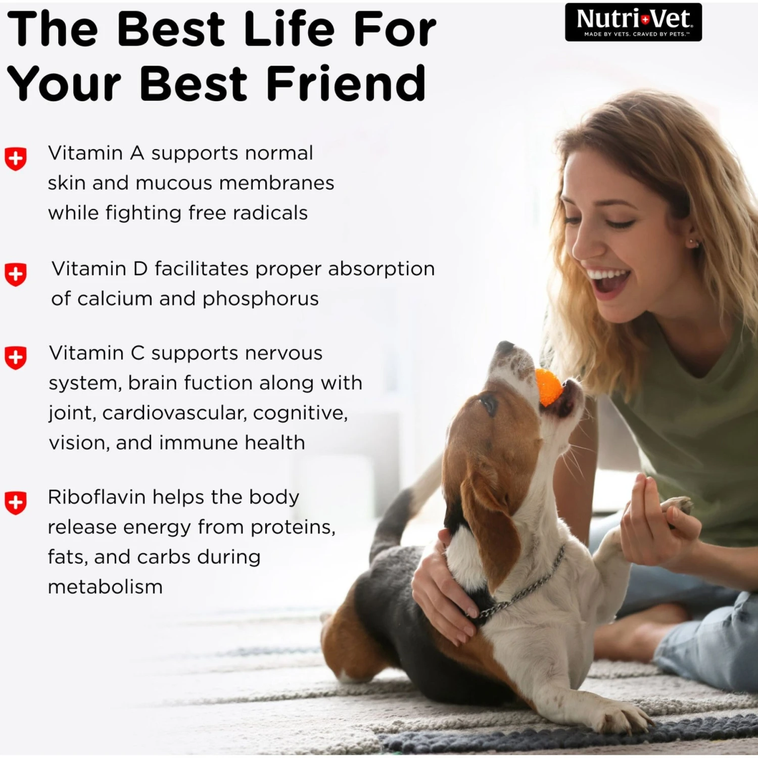 Nutri-Vet Multi-Vite Chewable Tablets Multivitamin For Dogs 5 Nutri-Vet Multi-Vite Chewable Tablets Multivitamin For Dogs - Image 5