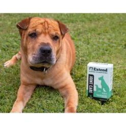 Extend Joint Care Nutritional Dog Supplements, 30 Count 12 Extend Joint Care Nutritional Dog Supplements, 30 Count -Pet Wellness 127834 PT5. AC SS1800 V1643149931