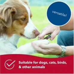 Safari Guillotine Nail Trimmer For Dogs -Pet Wellness 128166 PT5. AC SS1800 V1678125100