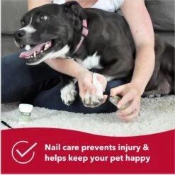 Safari Guillotine Nail Trimmer For Dogs -Pet Wellness 128166 PT6. AC SS1800 V1678124004