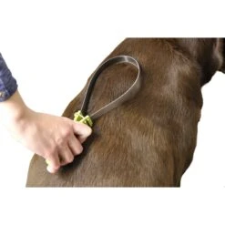 Safari Dual-Sided Shedding Blade Dog Grooming Tool 10 Safari Dual-Sided Shedding Blade Dog Grooming Tool -Pet Wellness 128185 PT3. AC SS1800 V1497272599