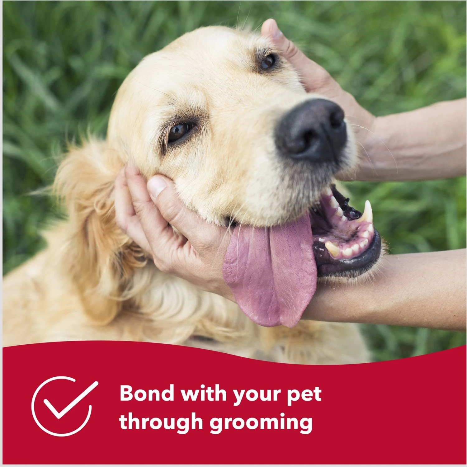 Safari Dual-Sided Shedding Blade Dog Grooming Tool 6 Safari Dual-Sided Shedding Blade Dog Grooming Tool - Image 6