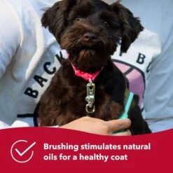 Li'l Pals Double-Sided Dog Comb, Color Varies -Pet Wellness 128193 PT5. AC SS1800 V1673648712