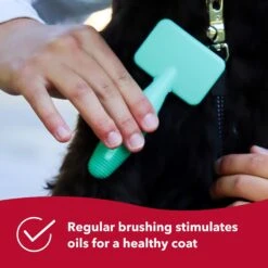 Li'l Pals Coated Tips Dog Slicker Brush -Pet Wellness 128196 PT5. AC SS1800 V1673648683