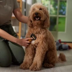 Pet Republique Dematting Rake -Pet Wellness 128497 PT2. AC SS1800 V1683922988