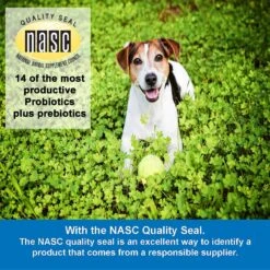 NWC Naturals Total-Biotics Probiotic Dog & Cat Powder Supplement 10 NWC Naturals Total-Biotics Probiotic Dog & Cat Powder Supplement -Pet Wellness 129256 PT4. AC SS1800 V1586353255