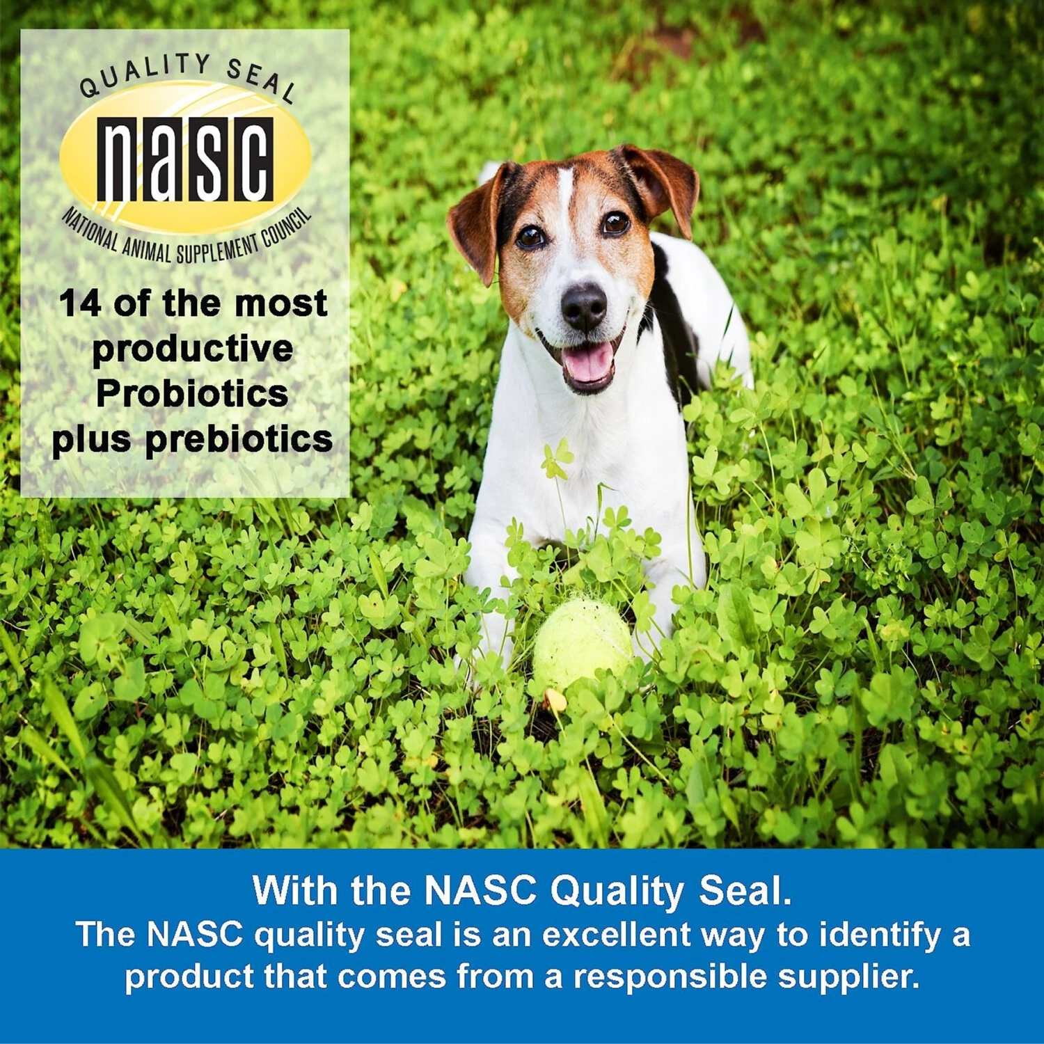 NWC Naturals Total-Biotics Probiotic Dog & Cat Powder Supplement 5 NWC Naturals Total-Biotics Probiotic Dog & Cat Powder Supplement - Image 5