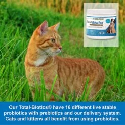 NWC Naturals Total-Biotics Probiotic Dog & Cat Powder Supplement 11 NWC Naturals Total-Biotics Probiotic Dog & Cat Powder Supplement -Pet Wellness 129256 PT5. AC SS1800 V1586353257