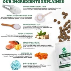 Doggie Dailies Advanced Hip & Joint Chicken Flavored Soft Chew Joint Supplement For Dogs -Pet Wellness 129722 PT5. AC SS1800 V1651161140