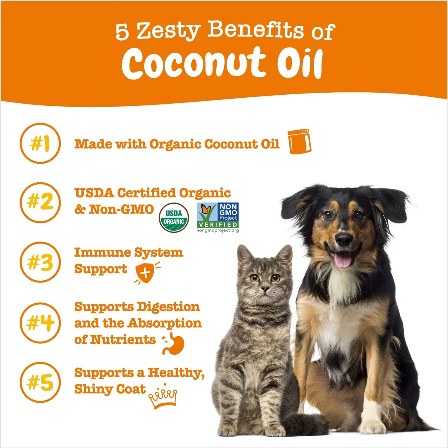 Zesty Paws Coconut Oil Skin & Coat Digestive Liquid Topper Supplement For Dogs 2 Zesty Paws Coconut Oil Skin & Coat Digestive Liquid Topper Supplement For Dogs - Image 2