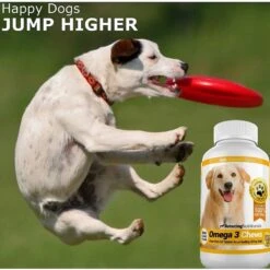 Amazing Nutritionals Omega 3 Chews Pure Fish Oil Daily Dog Supplement 14 Amazing Nutritionals Omega 3 Chews Pure Fish Oil Daily Dog Supplement -Pet Wellness 130142 PT6. AC SS1800 V1499091387