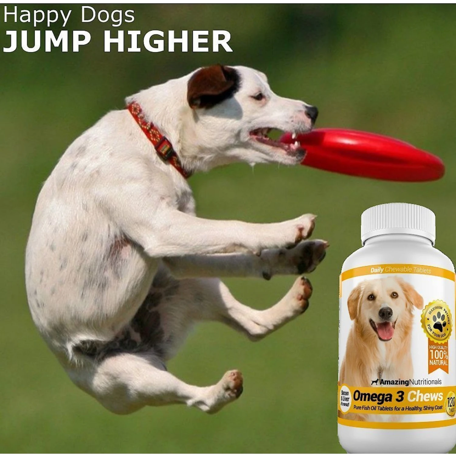 Amazing Nutritionals Omega 3 Chews Pure Fish Oil Daily Dog Supplement 7 Amazing Nutritionals Omega 3 Chews Pure Fish Oil Daily Dog Supplement - Image 7