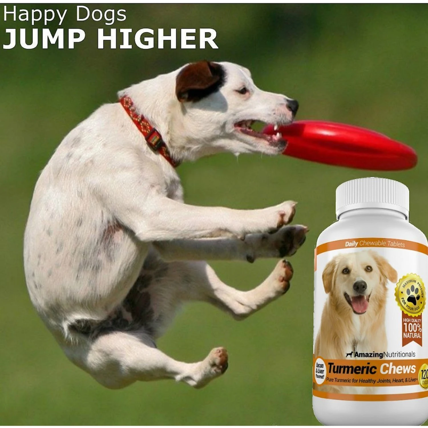 Amazing Nutritionals Turmeric Chews Daily Dog Supplement 4 Amazing Nutritionals Turmeric Chews Daily Dog Supplement - Image 4