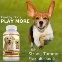Amazing Nutritionals Turmeric Chews Daily Dog Supplement 9 Amazing Nutritionals Turmeric Chews Daily Dog Supplement -Pet Wellness 130144 PT4. AC SS1800 V1498165353