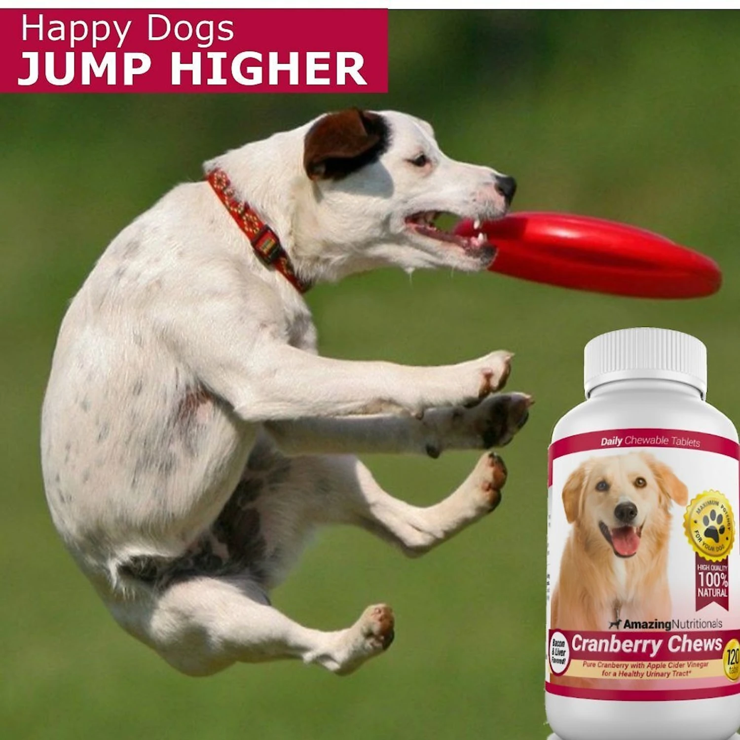 Amazing Nutritionals Cranberry Chews Daily Dog Supplement 4 Amazing Nutritionals Cranberry Chews Daily Dog Supplement - Image 4