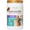 NaturVet Mushroom Max With Turkey Tail Soft Chews Immune Supplement For Cats & Dogs