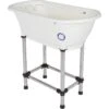 Flying Pig Grooming Dog Bath Tub