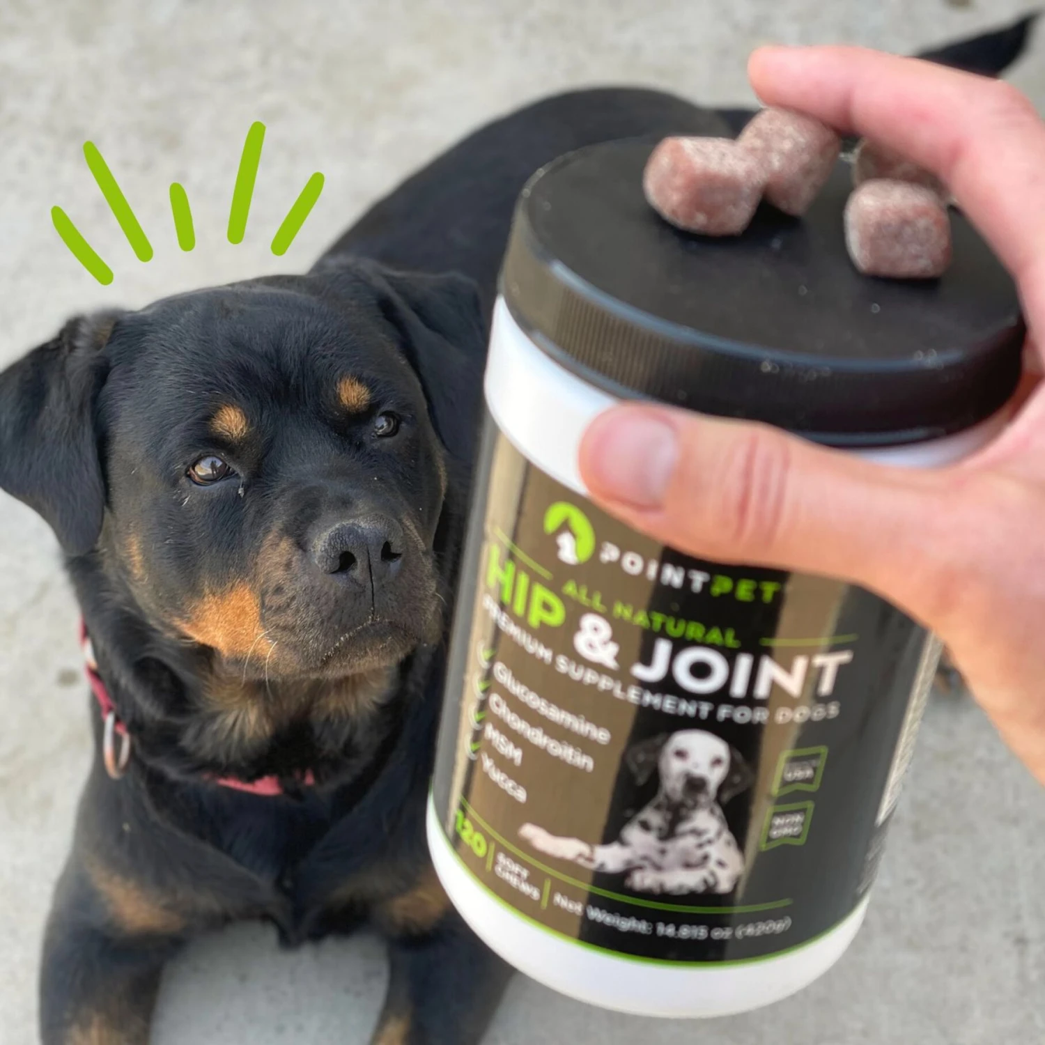 PointPet Glucosamine Chondroitin Hip & Joint Dog Supplement 2 PointPet Glucosamine Chondroitin Hip & Joint Dog Supplement - Image 2
