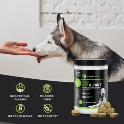 PointPet Glucosamine Chondroitin Hip & Joint Dog Supplement 10 PointPet Glucosamine Chondroitin Hip & Joint Dog Supplement -Pet Wellness 131521 PT2. AC SS1800 V1669394250