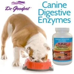 Dr. Goodpet Digestive Enzymes Dog Supplement 7 Dr. Goodpet Digestive Enzymes Dog Supplement -Pet Wellness 131551 PT3. AC SS1800 V1501165253