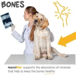 Maxxipaws Maxxiflex+ Dog Joint Supplement -Pet Wellness 131560 PT4. AC SS1800 V1667326771