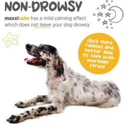 Maxxipaws Maxxicalm Calming Aid For Dogs -Pet Wellness 131562 PT3. AC SS1800 V1667333916