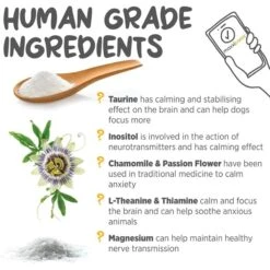 Maxxipaws Maxxicalm Calming Aid For Dogs -Pet Wellness 131562 PT5. AC SS1800 V1667330880