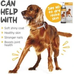 Maxxipaws Maxxiomega Oil For Dogs -Pet Wellness 131564 PT2. AC SS1800 V1667332470