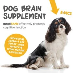 Maxxipaws MaxxiSAMe SAM-e Supplement For Dogs -Pet Wellness 131566 PT2. AC SS1800 V1667334857