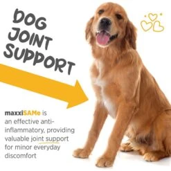Maxxipaws MaxxiSAMe SAM-e Supplement For Dogs -Pet Wellness 131566 PT3. AC SS1800 V1667326833