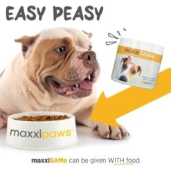 Maxxipaws MaxxiSAMe SAM-e Supplement For Dogs -Pet Wellness 131566 PT4. AC SS1800 V1667330879
