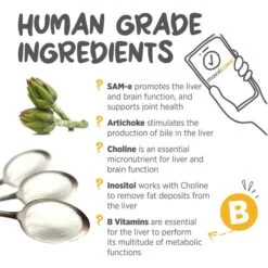 Maxxipaws MaxxiSAMe SAM-e Supplement For Dogs -Pet Wellness 131566 PT5. AC SS1800 V1667326888