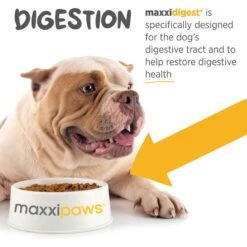 Maxxipaws Maxxidigest+ Digestive & Immune System Support For Dogs Supplement, 13.2-oz -Pet Wellness 131568 PT4. AC SS1800 V1667328518