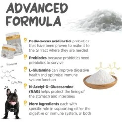 Maxxipaws Maxxidigest+ Digestive & Immune System Support For Dogs Supplement, 13.2-oz -Pet Wellness 131568 PT5. AC SS1800 V1667331280