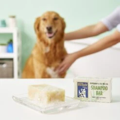 DERMagic Peppermint & Tea Tree Oil Dog Shampoo Bar -Pet Wellness 132123 PT3. AC SS1800 V1543958558