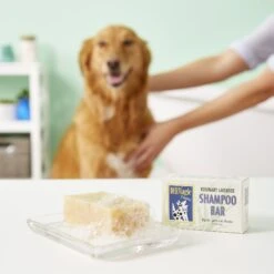 DERMagic Rosemary Lavender Dog Shampoo Bar 11 DERMagic Rosemary Lavender Dog Shampoo Bar -Pet Wellness 132133 PT3. AC SS1800 V1543958569