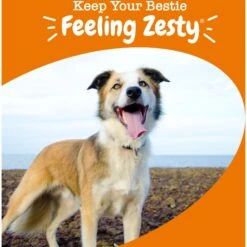 Zesty Paws Multivitamin 8-in-1 Bites Chicken Flavored Soft Chews Supplement For Dogs -Pet Wellness 132461 PT4. AC SS1800 V1703091206