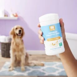 Nootie Sweet Pea & Vanilla Dog & Cat Waterless Shampoo Wipes 12 Nootie Sweet Pea & Vanilla Dog & Cat Waterless Shampoo Wipes -Pet Wellness 132626 PT3. AC SS1800 V1543958971