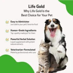 Pet Wellbeing Life GOLD Bacon Flavored Liquid Immune Supplement For Cats & Dogs -Pet Wellness 132786 PT4. AC SS1800 V1701364510