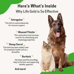 Pet Wellbeing Life GOLD Bacon Flavored Liquid Immune Supplement For Cats & Dogs -Pet Wellness 132786 PT5. AC SS1800 V1701364509