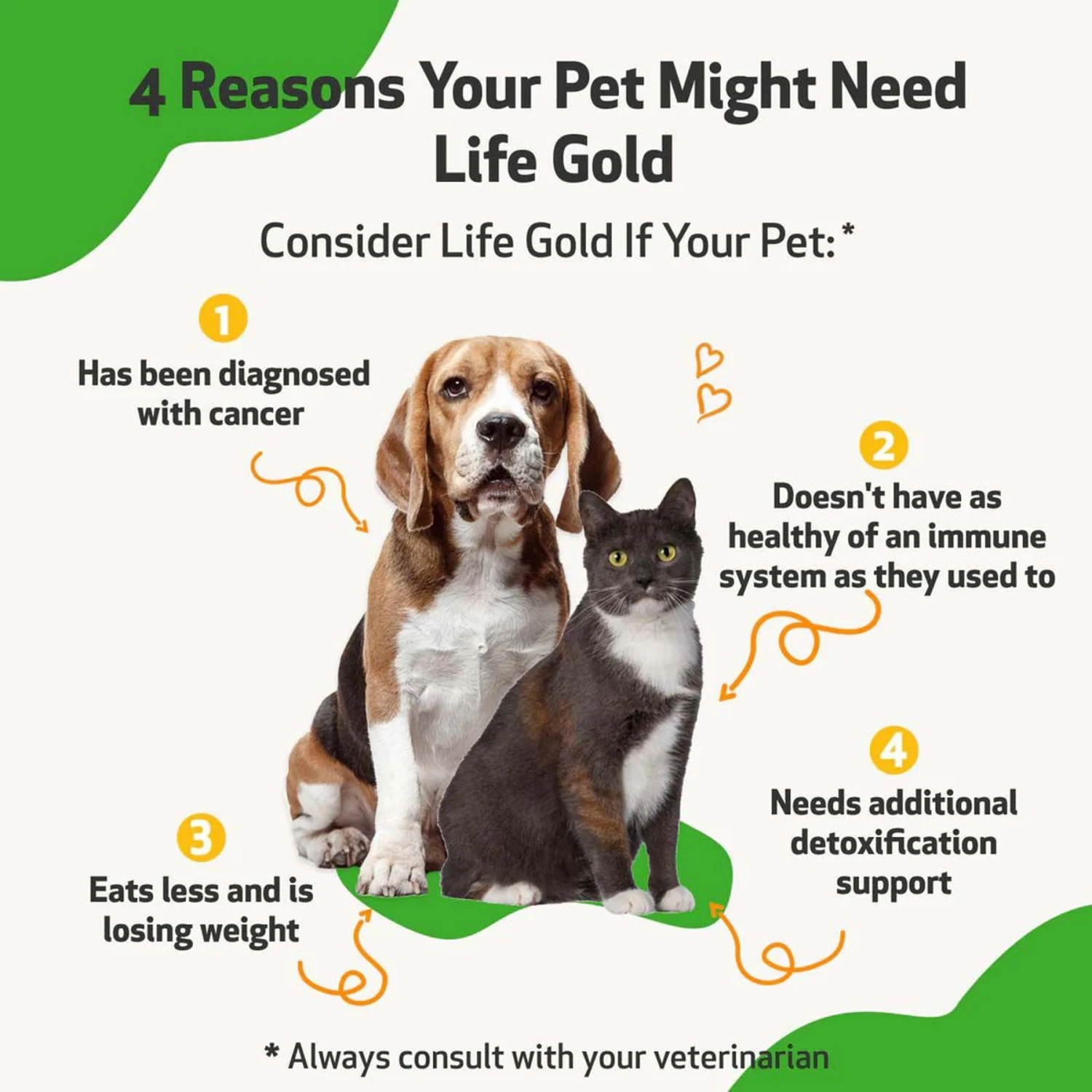 Pet Wellbeing Life GOLD Bacon Flavored Liquid Immune Supplement For Dogs 3 Pet Wellbeing Life GOLD Bacon Flavored Liquid Immune Supplement For Dogs - Image 3