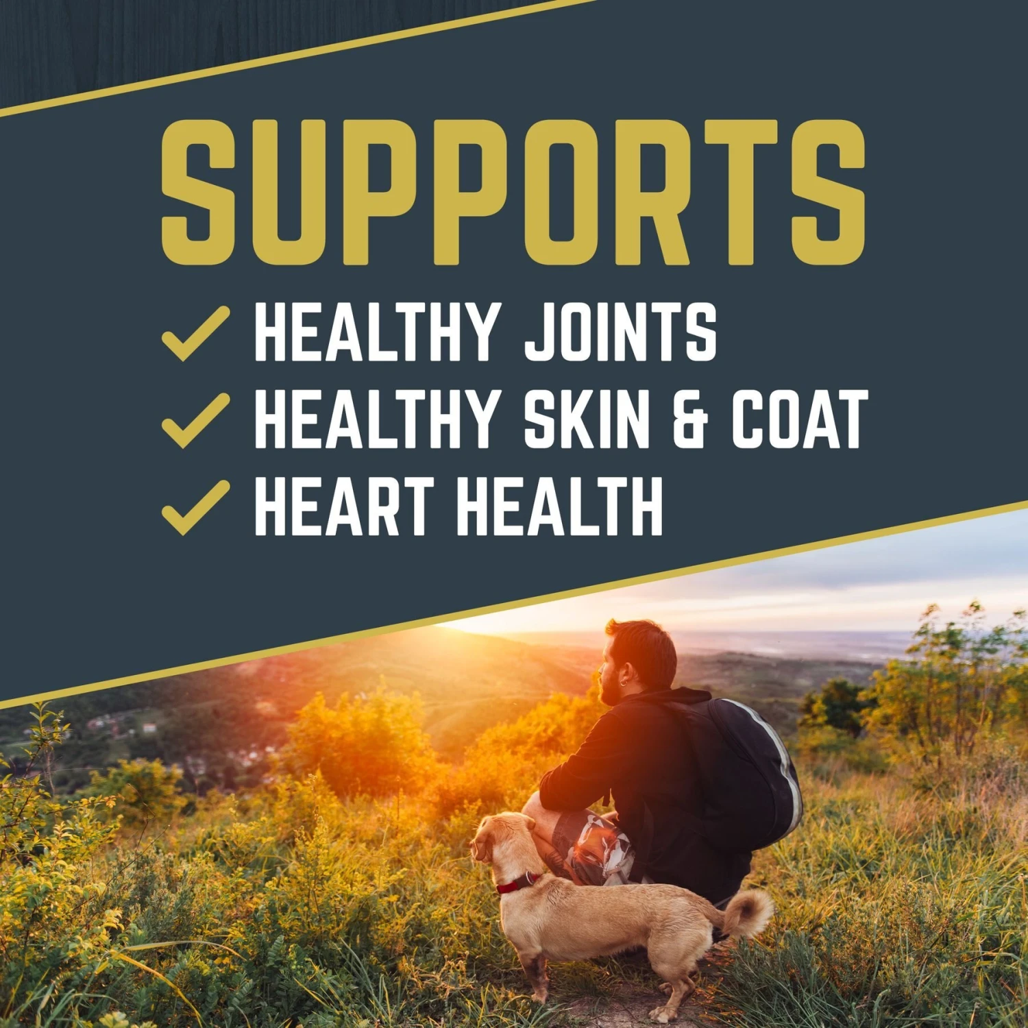 Black Gold Explorer Beef Meal & Barley Formula Dry Dog Food, 40-lb Bag 2 Black Gold Explorer Beef Meal & Barley Formula Dry Dog Food, 40-lb Bag - Image 2