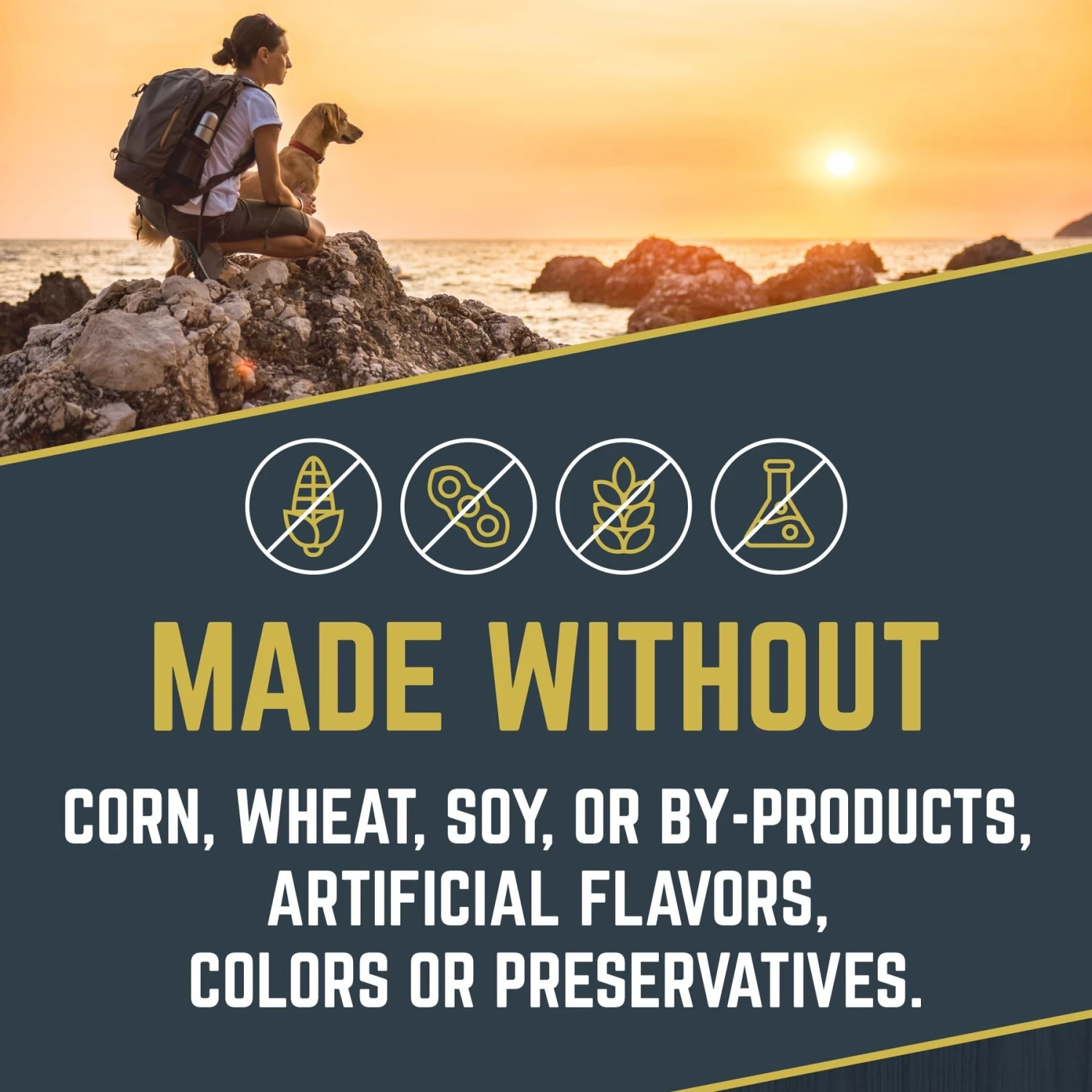 Black Gold Explorer Beef Meal & Barley Formula Dry Dog Food, 40-lb Bag 3 Black Gold Explorer Beef Meal & Barley Formula Dry Dog Food, 40-lb Bag - Image 3