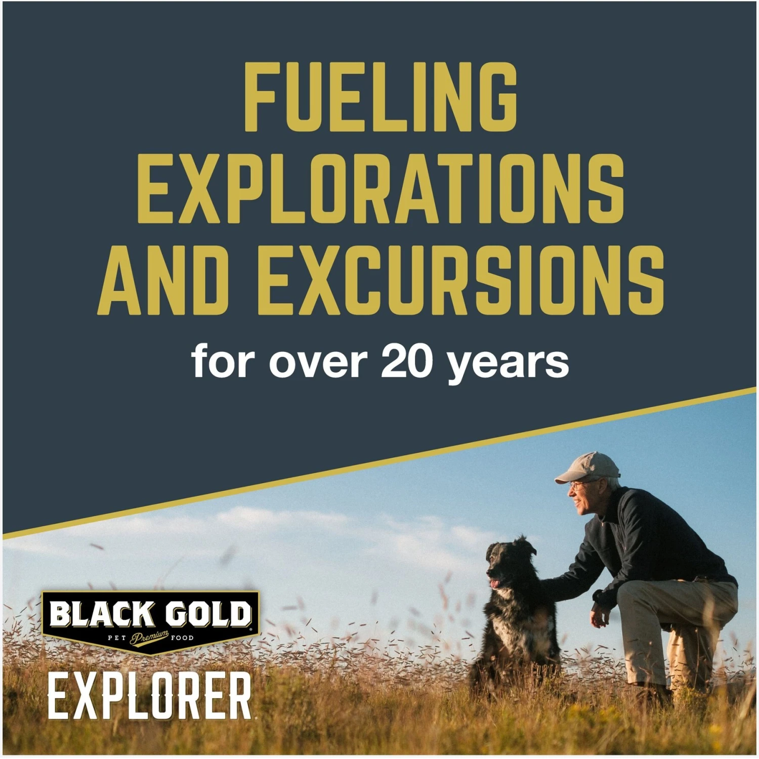Black Gold Explorer Beef Meal & Barley Formula Dry Dog Food, 40-lb Bag 5 Black Gold Explorer Beef Meal & Barley Formula Dry Dog Food, 40-lb Bag - Image 5