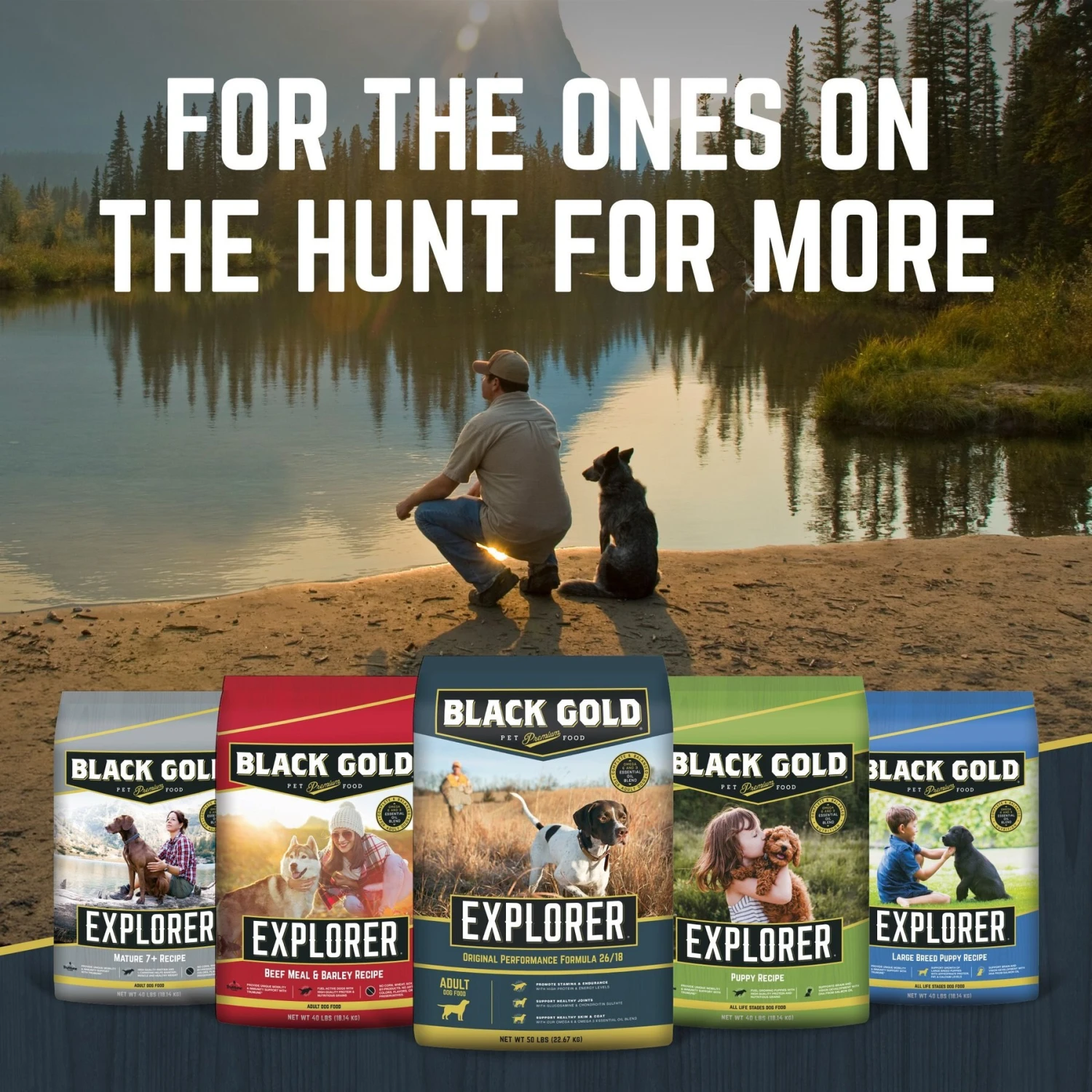 Black Gold Explorer Beef Meal & Barley Formula Dry Dog Food, 40-lb Bag 6 Black Gold Explorer Beef Meal & Barley Formula Dry Dog Food, 40-lb Bag - Image 6