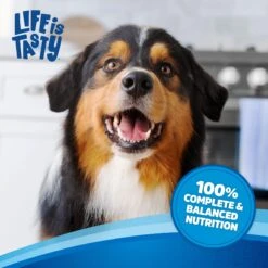 Kibbles 'n Bits Original Savory Beef & Chicken Flavors Dry Dog Food 14 Kibbles 'n Bits Original Savory Beef & Chicken Flavors Dry Dog Food -Pet Wellness 134039 PT5. AC SS1800 V1693496079