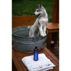 RX 4 Pets Dog & Cat Skin Irritation Shampoo & Conditioner -Pet Wellness 134841 PT7. AC SS1800 V1502461554