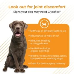 VetriScience GlycoFlex Plus Duck Flavored Soft Chews Joint Supplement For Dogs 8 VetriScience GlycoFlex Plus Duck Flavored Soft Chews Joint Supplement For Dogs -Pet Wellness 134891 PT3. AC SS1800 V1649904087